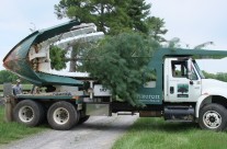 Trees on the Move at the State Arboretum of Virginia