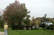 Our Equipment – The Largest Fleet of Tree Moving Trucks in Northern Virginia