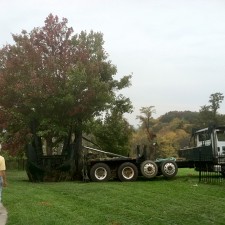 Our Equipment – The Largest Fleet of Tree Moving Trucks in Northern Virginia